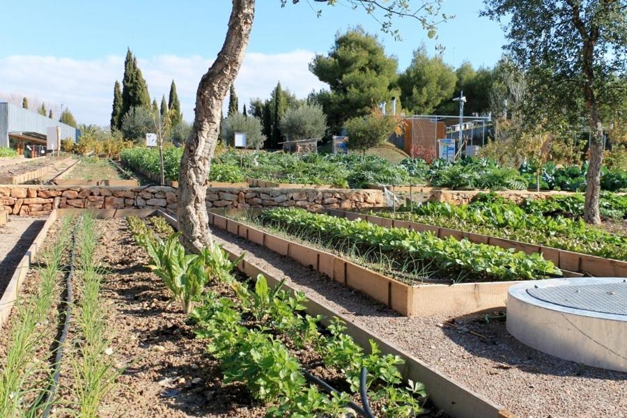 Centro De Agroecologia Y Medio Ambiente De Murcia بوياس المظهر الخارجي الصورة