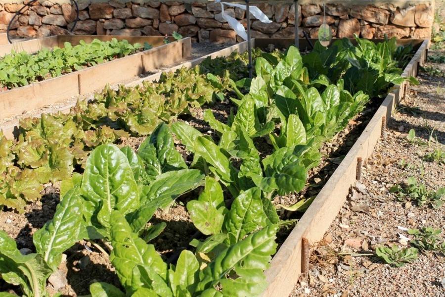 Centro De Agroecologia Y Medio Ambiente De Murcia بوياس المظهر الخارجي الصورة
