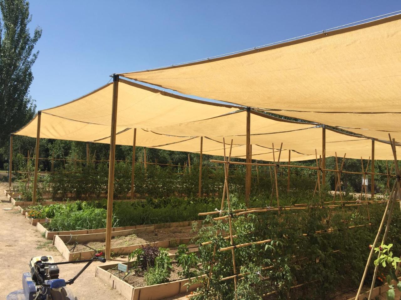 Centro De Agroecologia Y Medio Ambiente De Murcia بوياس المظهر الخارجي الصورة