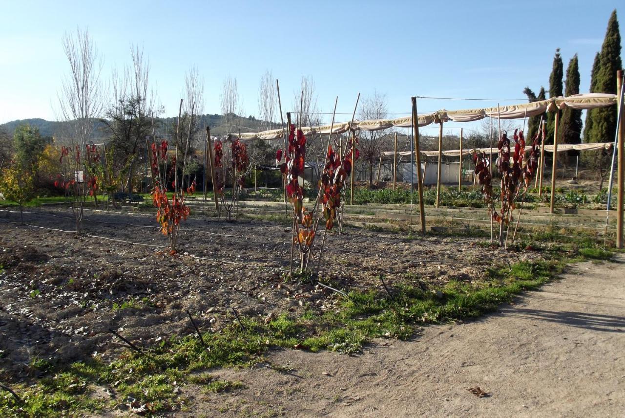 Centro De Agroecologia Y Medio Ambiente De Murcia بوياس المظهر الخارجي الصورة